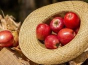 Приметы на Яблочный Спас 2019 и все о празднике: что святить и можно ли работать