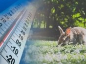 Самый теплый день за долгое время: какой будет погода в Украине и Киеве 1 апреля