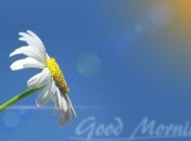 Добірка привітань в картинках з добрим ранком