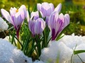 Прогноз погоды на 14 марта: в Украину снова идет похолодание