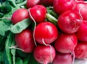 Что посадить осенью на участке - список овощей и зелени