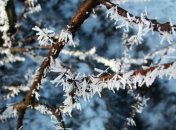 4-х человек удалось спасти от обморожения в Кировоградской области