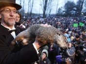 В Канаде на кануне Дня сурка умер сурок-предсказатель
