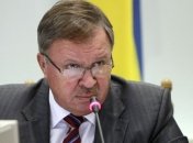 Шаповал: Решение ЦИК - своевременное и обыденное