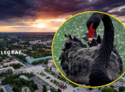 Красавец издавна окутан суевериями