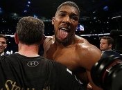 Джошуа сделал прогноз на бой Головкин - Альварес