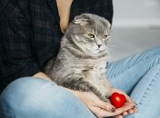 Крупно повезет одиноким 3 знакам Зодиака в 2023 году