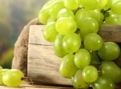 Австралийские ученые сумели клонировать виноград