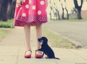 Платье в горошек - всегда в моде