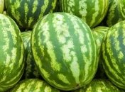 На Херсонщине определили победителей фестиваля арбузов 