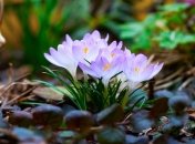 20 марта. Приметы дня