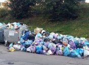  Винница готова поделиться со Львовом опытом решения вопроса утилизации отходов