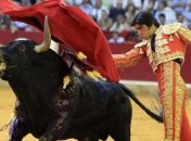 Власти Испании хотят снова разрешить корриду