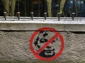 Ультрас Динамо провели очередную акцию против Луческу (фото)