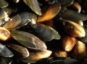 Медикам дали уникальный клей