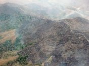 Циркумполярный совет инуитов выразил обеспокоенность в связи с пожарами в Амазонии