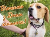 День кінолога в Україні щороку відзначають 2 квітня