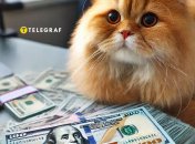 Зробили розклад Таро на роботу та фінанси для кожного знака Зодіаку на 2025 рік