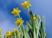 Ночные заморозки, а днем до 18 тепла: украинцев предупреждают о больших перепадах температуры