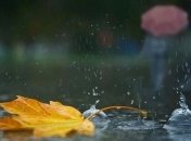 Прогноз погоды в Украине на 12 ноября: почти по всей Украине пройдут дожди