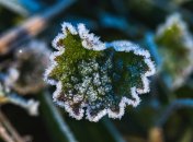 В Україні прогнозують заморозки