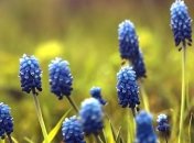 Погода в Украине 24 мая: возможен дождь с грозой