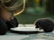 13 ноября 2015, примета дня. Самый добрый день в году