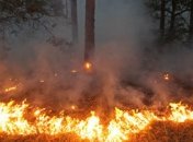 На Чернігівщині горів військовий полігон, є постраждалі