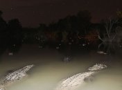 Съеденный аллигатором фотоаппарат вернули хозяину через 8 месяцев