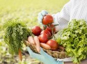 Помідори, часник і квасоля дозрівають на початку осені