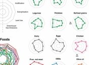 Какие продукты вредны для здоровья человека и окружающей среды