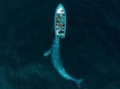 Drone Photo Awards 2020: лучшие фото, сделанные с высоты птичьего полета