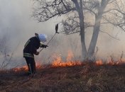 Масштабная волна пожаров в Украине: эксперты дали прогноз