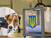 Как будут голосовать украинцы на выборах