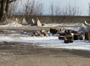 Трое бойцов насмерть подорвались на мине на Донбассе: назван подозреваемый