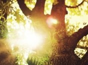 Прогноз погоды на 7 июня: в Украине ожидается до +31 градуса