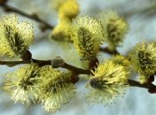 21 марта. Приметы дня