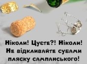 Шампанское — это просто новогоднее пиво: уморительные шутки про шипучий напиток