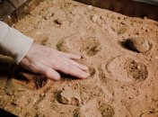 НАСА продолжит поиск жизни за пределами Земли