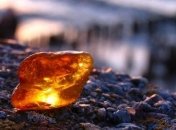 На Волыне полиция задержала двоих мужчин во время добычи янтаря