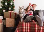 Тельці, Близнюки, Діви та Риби не повірять своєму щастю