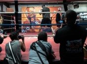 Уайлдер разобрал бой-реванш Джошуа - Руис