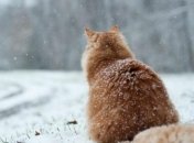 На смену циклону Tristan придет Ulf: каких сюрпризов от погоды ждать 10 февраля