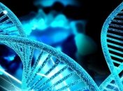 Ученые обнаружили мутации генов, сокращающие жизнь