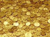 В Украине появится новая монета 