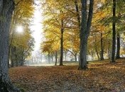 Весна в ноябре: синоптики прогнозируют до +20° и грозы