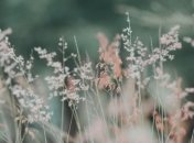 Какой праздник 28 мая: народные приметы и запреты