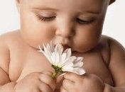 Младенцы учатся использовать свои знания за 16 месяцев