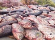 Рыбный промысел: В Полтавской области полиция задержала мужчину, занимавшегося незаконным выловом