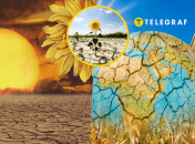 В Украине будут выращивать новые сорта культур